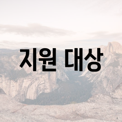 지원 대상