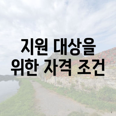 지원 대상을 위한 자격 조건