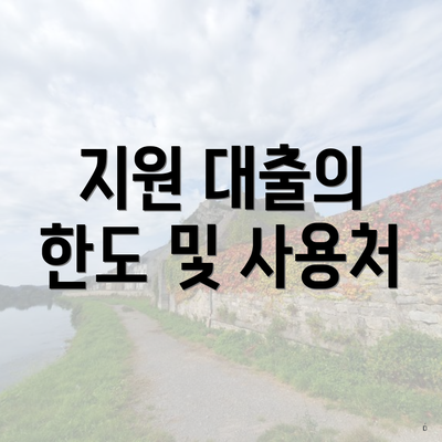지원 대출의 한도 및 사용처