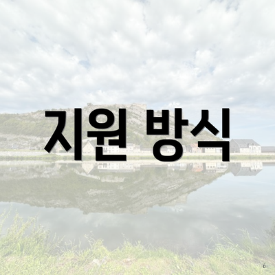 지원 방식