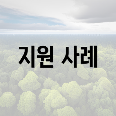 지원 사례