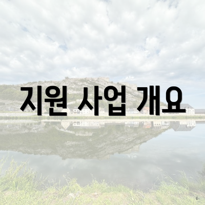 지원 사업 개요
