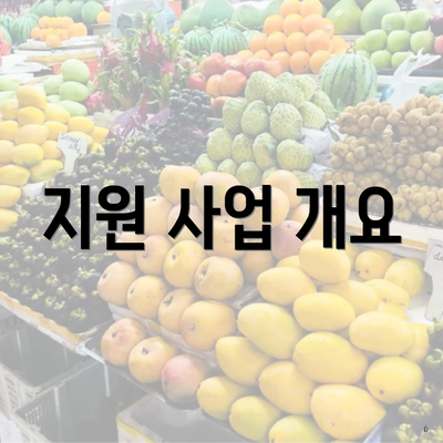 지원 사업 개요