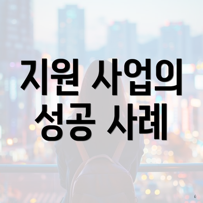 지원 사업의 성공 사례