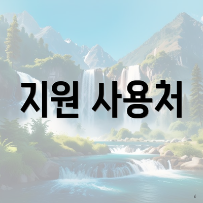 지원 사용처