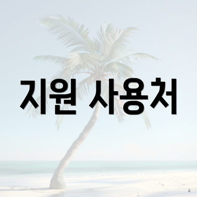 지원 사용처