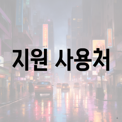 지원 사용처