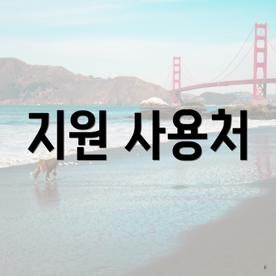 지원 사용처