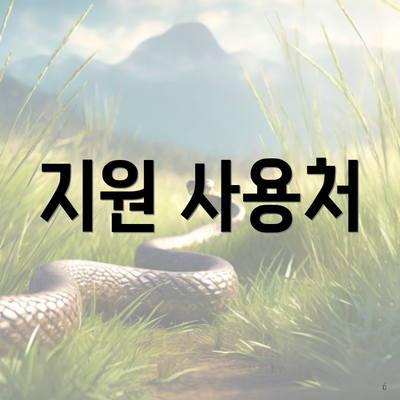 지원 사용처