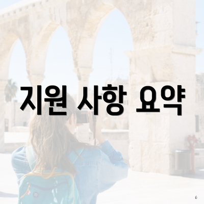 지원 사항 요약