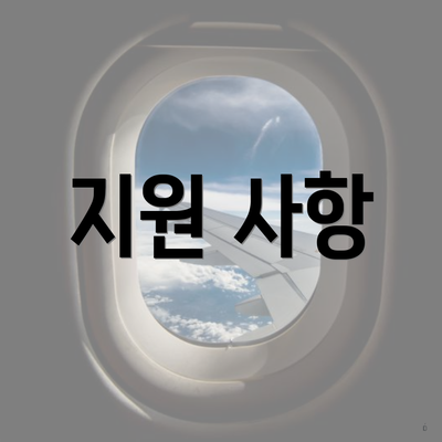 지원 사항