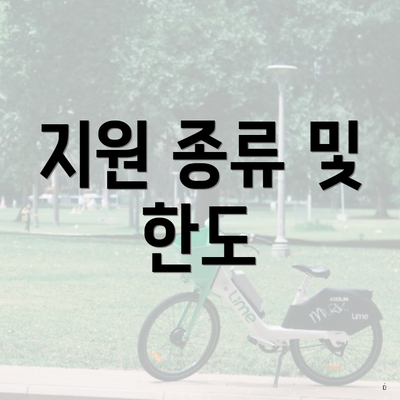 지원 종류 및 한도