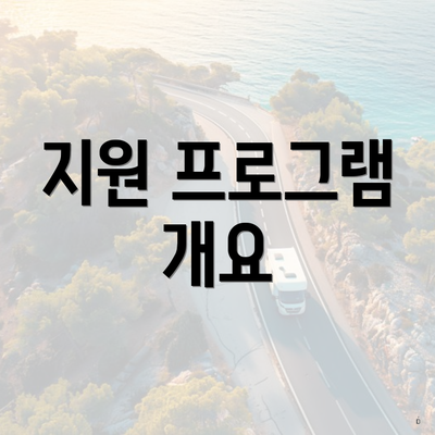 지원 프로그램 개요