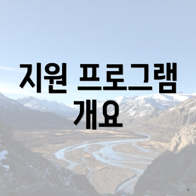 지원 프로그램 개요
