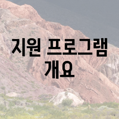 지원 프로그램 개요