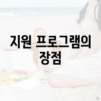 지원 프로그램의 장점
