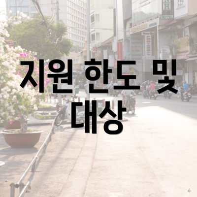 지원 한도 및 대상