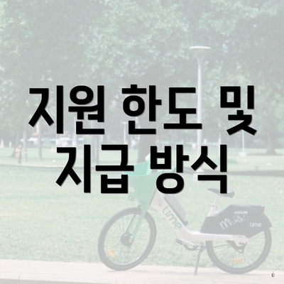 지원 한도 및 지급 방식