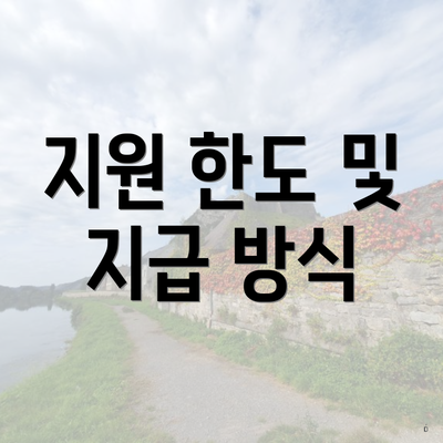 지원 한도 및 지급 방식
