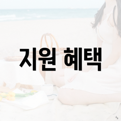지원 혜택
