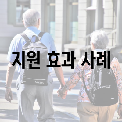 지원 효과 사례
