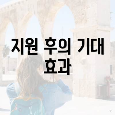 지원 후의 기대 효과