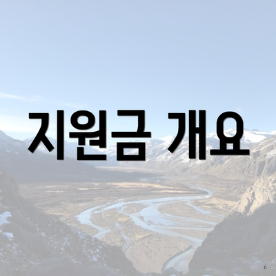 지원금 개요