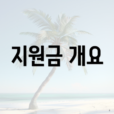 지원금 개요