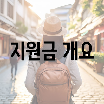 지원금 개요