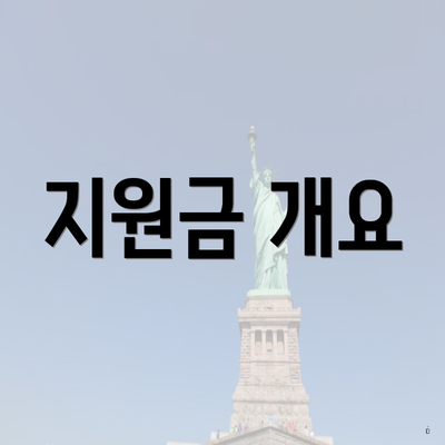 지원금 개요