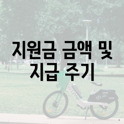 지원금 금액 및 지급 주기