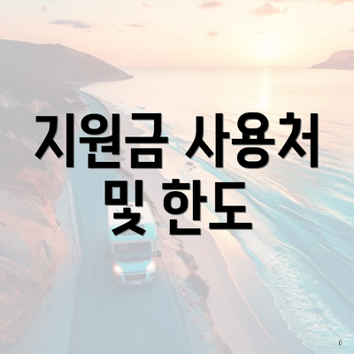 지원금 사용처 및 한도