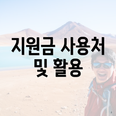 지원금 사용처 및 활용