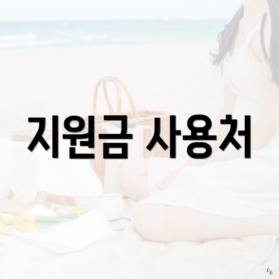 지원금 사용처