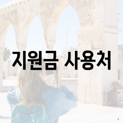 지원금 사용처