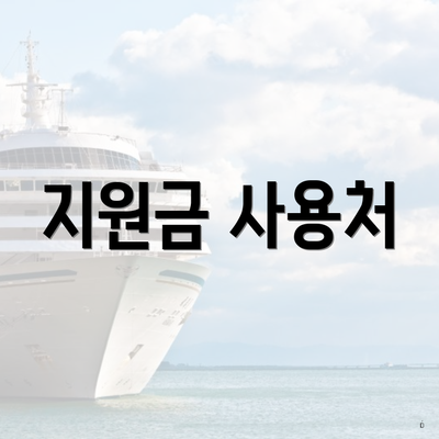 지원금 사용처