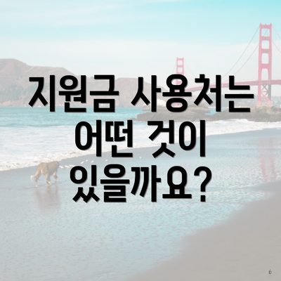 지원금 사용처는 어떤 것이 있을까요?