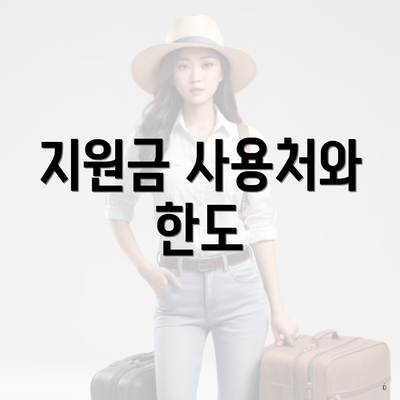 지원금 사용처와 한도