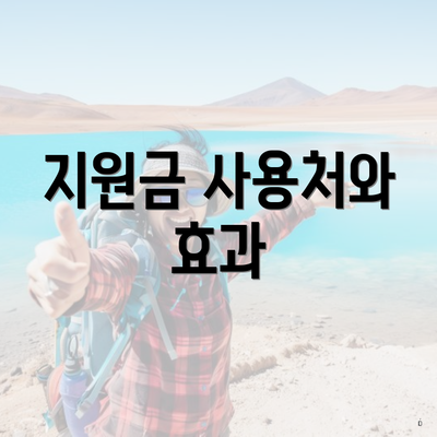 지원금 사용처와 효과