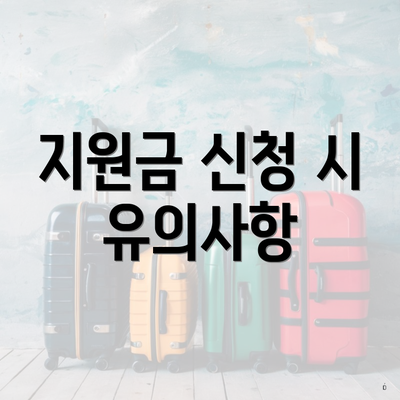 지원금 신청 시 유의사항
