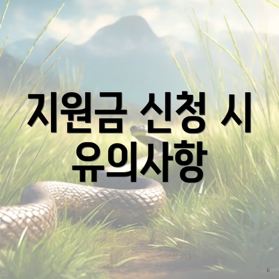 지원금 신청 시 유의사항