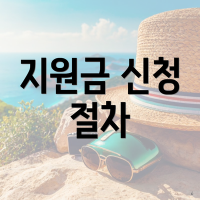 지원금 신청 절차