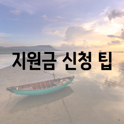 지원금 신청 팁