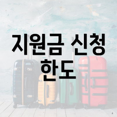 지원금 신청 한도