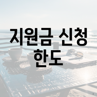 지원금 신청 한도