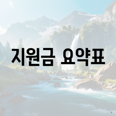 지원금 요약표