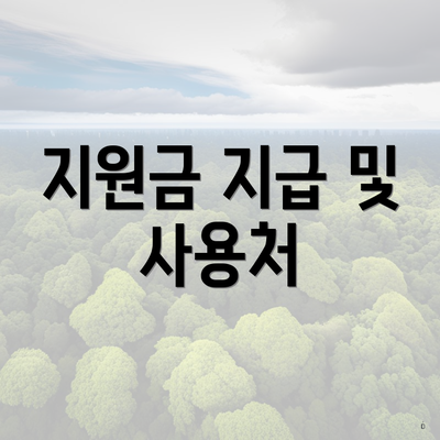 지원금 지급 및 사용처