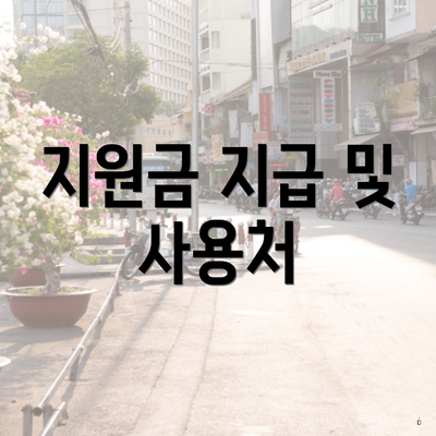 지원금 지급 및 사용처