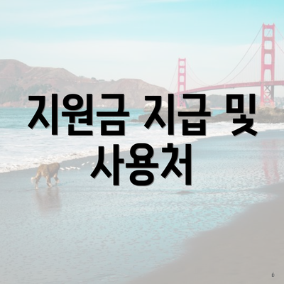 지원금 지급 및 사용처