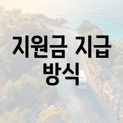 지원금 지급 방식